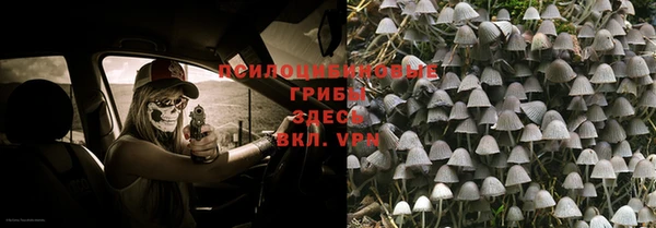экстази Богородск